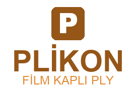 pli̇kon fi̇lm kapli ply logo